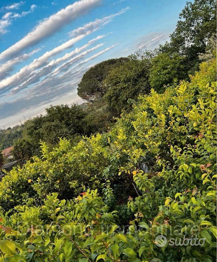 Terreno edificabile con rudere a Macchia di Giarre - Vista 2
