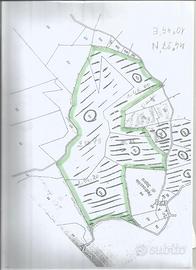 Terreno agricolo non edificabile