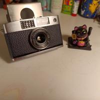 Ricoh Caddy - half frame 