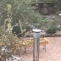 Appartamento autonomo con giardino