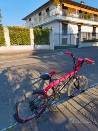 bmx freestyle 
