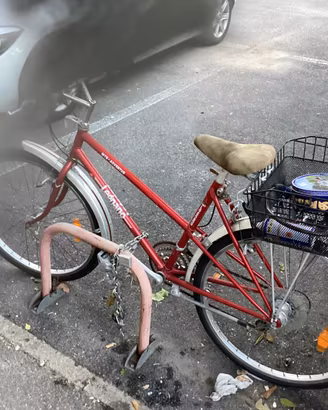 Bibicletta con ruote da 26” adatta a donna o uomo