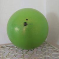 palla ritmica Pastorelli fig