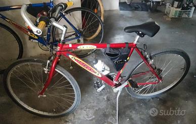 Bicicletta Bottecchia