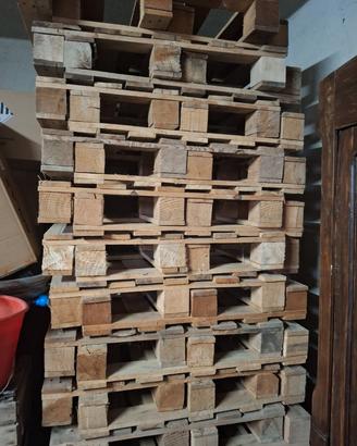 pallet 80x89