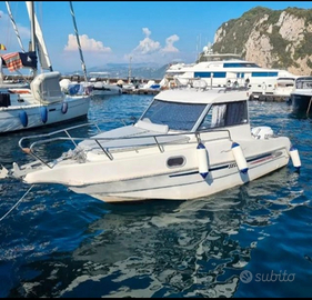 Pilotina cabinata, Selva F.6.5