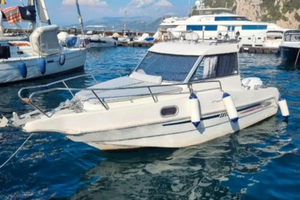 Pilotina cabinata, Selva F.6.5