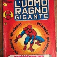 Uomo Ragno Gigante 1