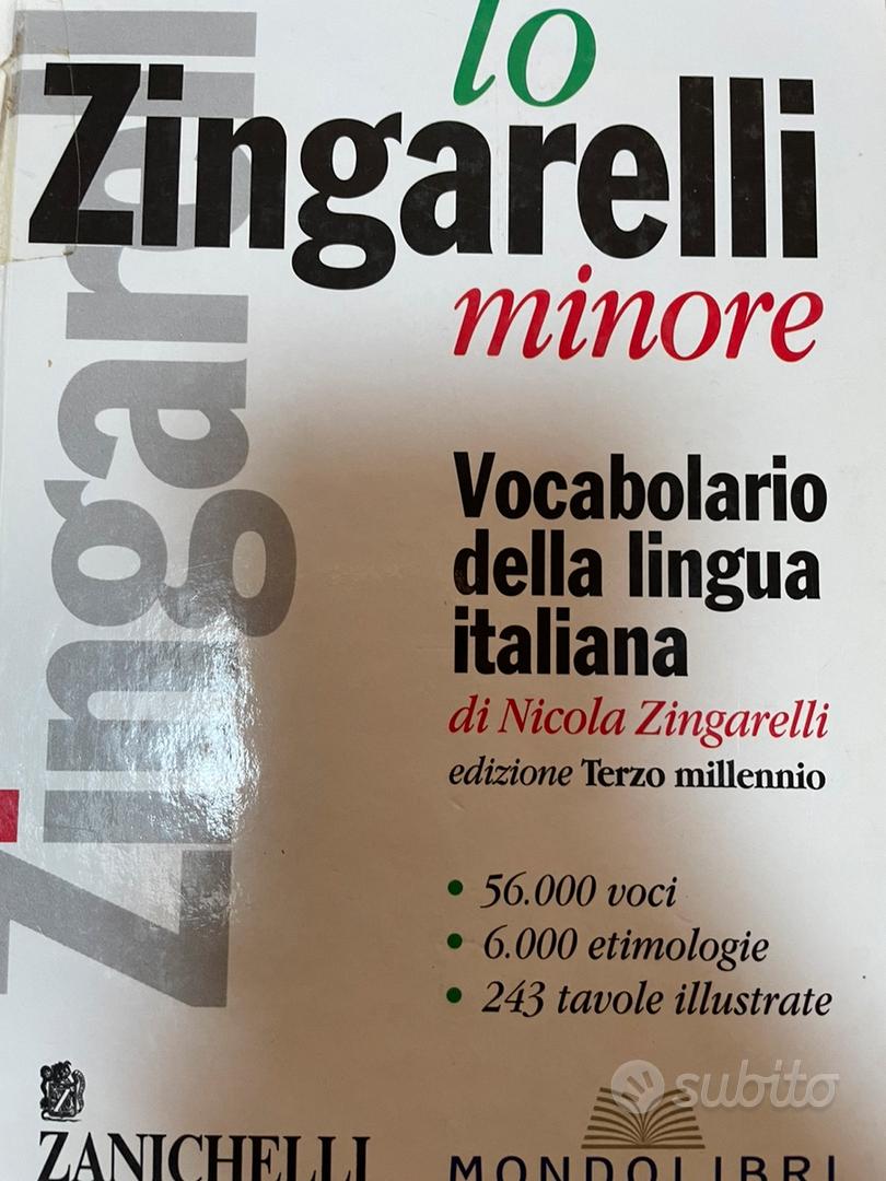 Vocabolario italiano zingarelli edizione minore