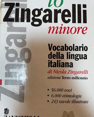 Lo Zingarelli minore