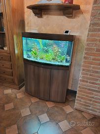 Acquario juwel