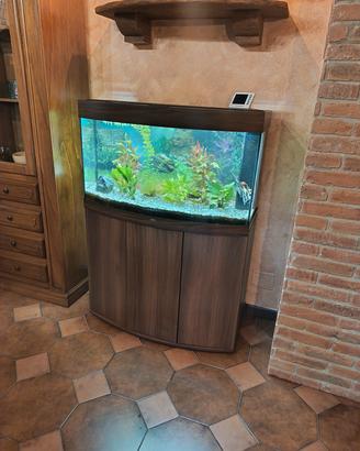 Acquario juwel