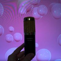 Microfono Neewer NW-8000 per Live /Video /Podcast