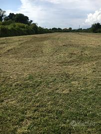 Terreno agricolo a lido di Camaiore mq 1350