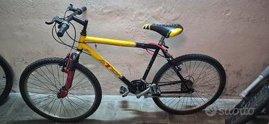 bici Mountain Bike