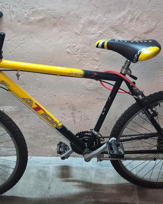 bici Mountain Bike