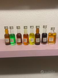 Bottigliette mignon da collezione