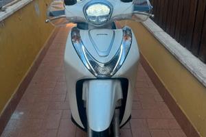 Sh125