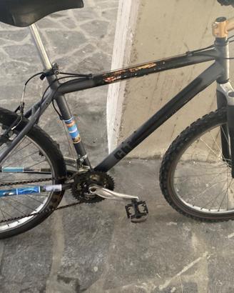 Bicicletta