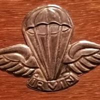 Miltare Crest Brevetto Paracadutista Civile in Arg