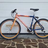 MTB Bottecchia vintage