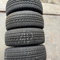 gomme invernali evergreen winter