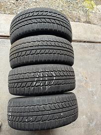 gomme invernali evergreen winter