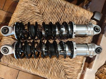 ammortizzatori ohlins