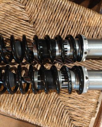 ammortizzatori ohlins