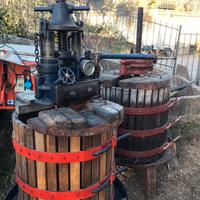 Torchio vendemmia Hollmann Laverda