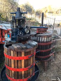 Torchio vendemmia Hollmann Laverda