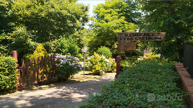 Avaglio PT, appartamento libero subito