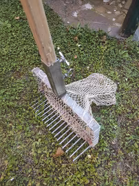 Attrezzo professionale in acciaio inox per vongole