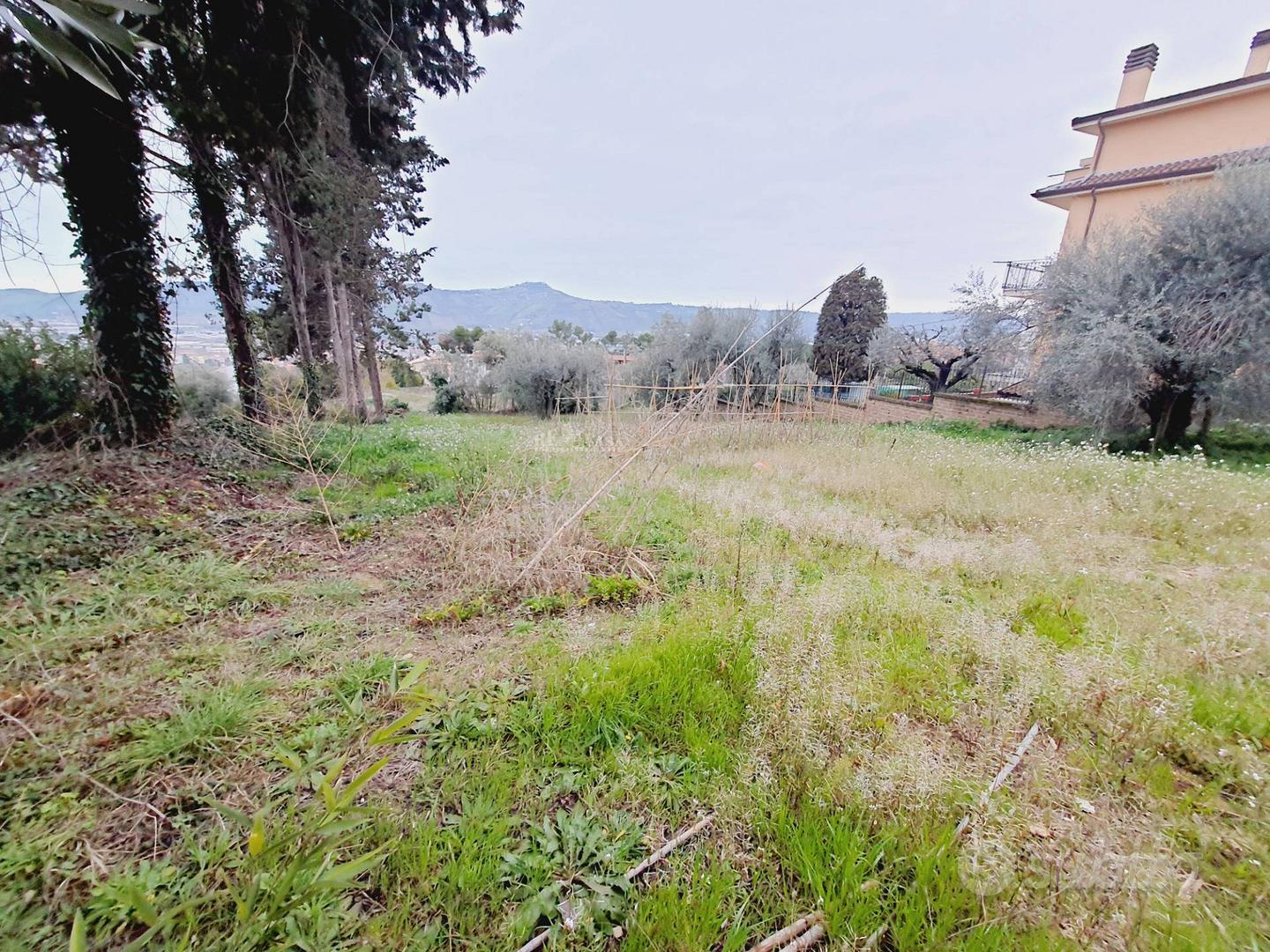 Terreno edificabile residenziale - Monteprandone - Vista 5
