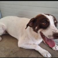 Lillino 3anni tg media in box da sempre.COSENZA