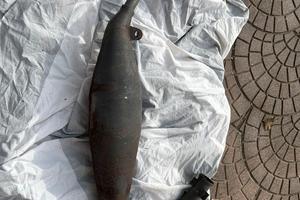 Scarico originale aprilia rs 125