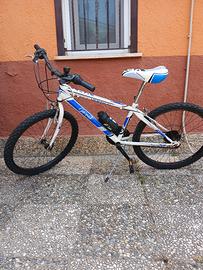 Bicicletta