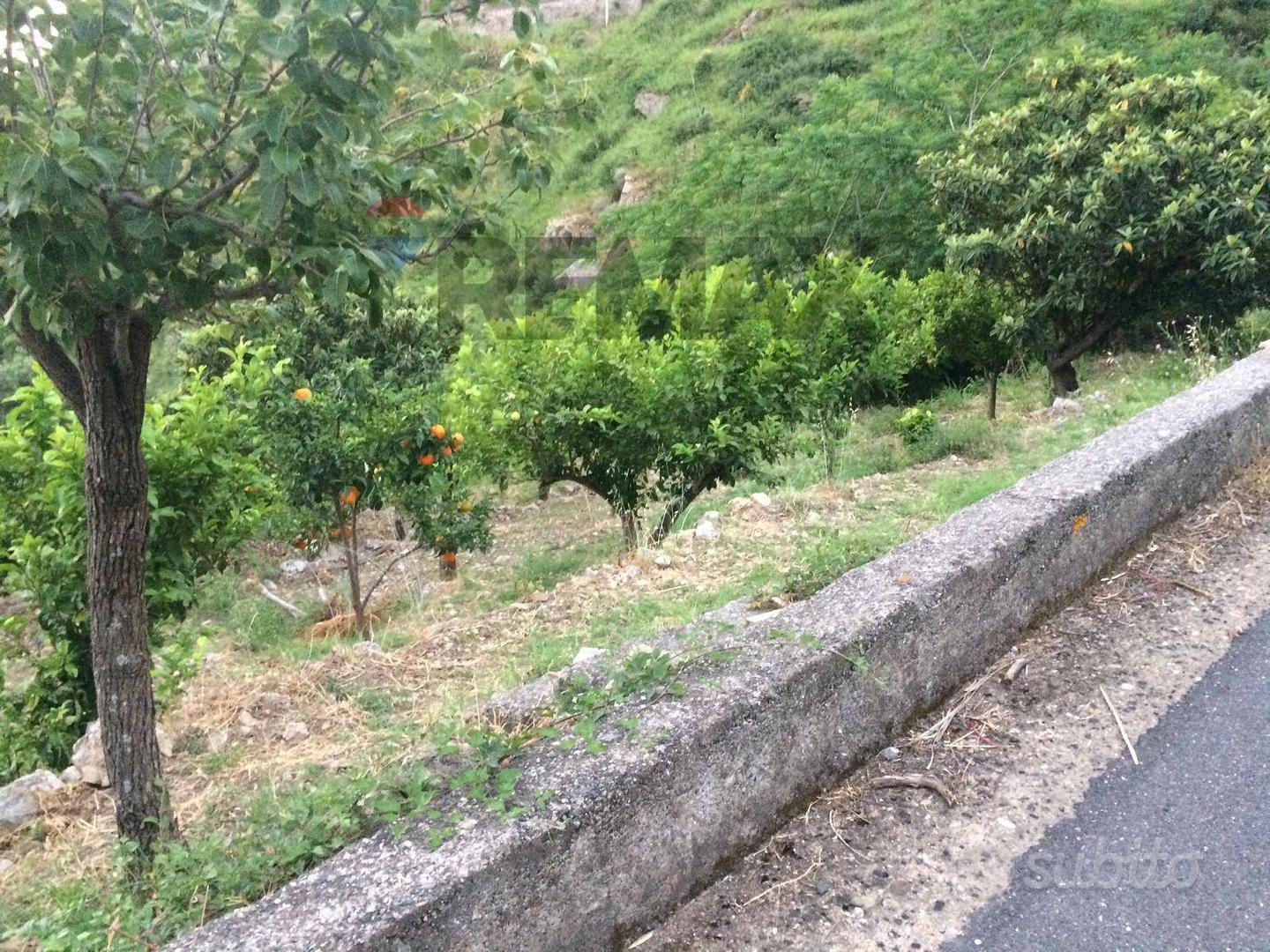 Terreno - Gallodoro - Vista 4
