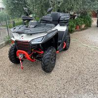 Quad Segway 650