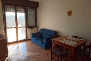 Bilocale arredato con terrazzo