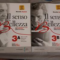 il senso e la bellezza 3 a/b