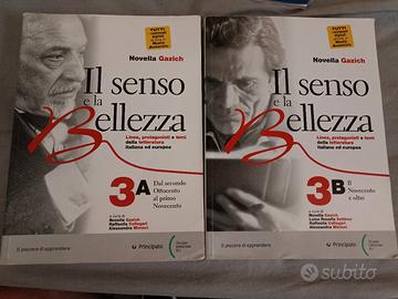 il senso e la bellezza 3 a/b