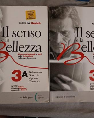 il senso e la bellezza 3 a/b
