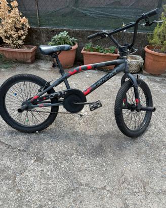 Bmx 20” (venduta)