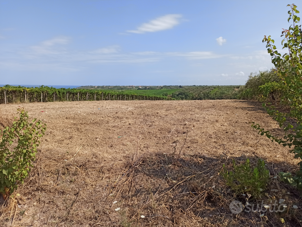 Terreno agricolo zona collinare