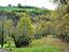 Immagine 16