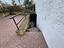 Immagine 23