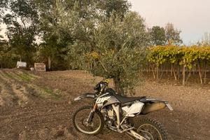 YAMAHA WRF 250 TARGATA ANNO 2012