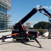 Mini gru cingolata BG Lift M 250