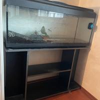 Acquario con mobile